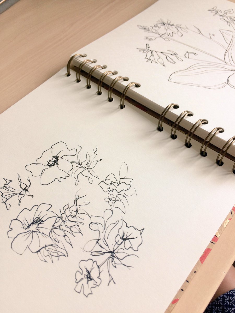 TextileDesignN's tweet image. Sketching in the garden 🌺 #kernow #designer