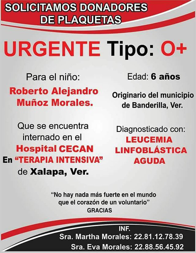 alcalorpolitico's tweet photo. #ComparteLector
Urgen donadores de sangre tipo O positivo para niño en CECAN
https://t.co/s3YEJSVehJ https://t.co/SVbRHCiIIB
