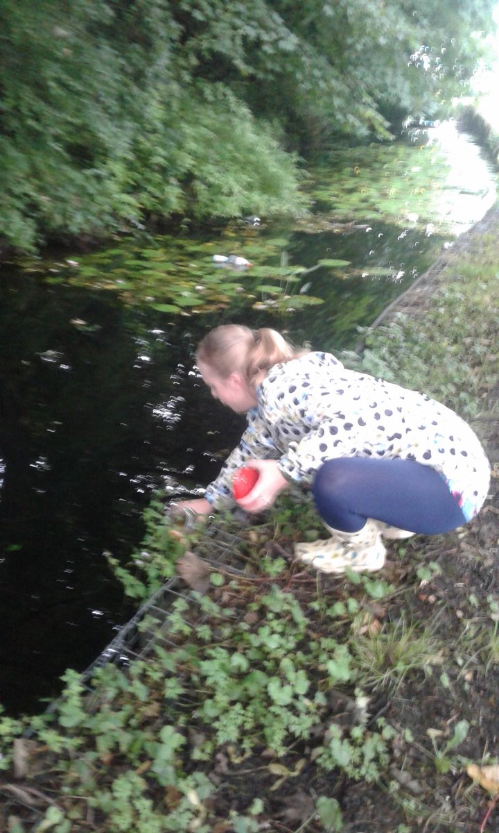 Tony the Tadpole has started to grow legs!!! Today we released him back into the canal with his friends #outdoorlearning #therainwontstopus