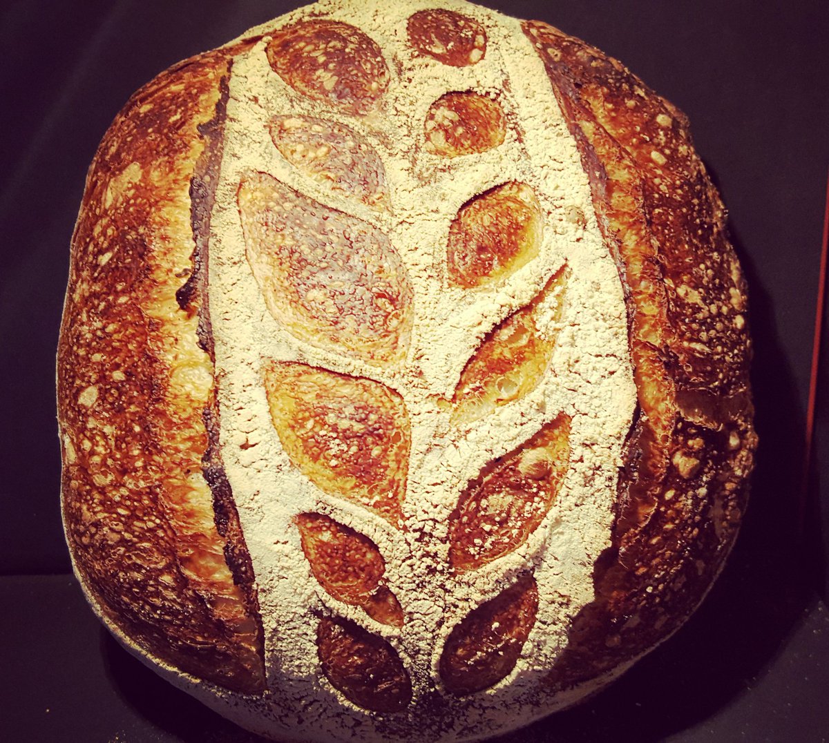 vaarsha baugreet tweet media