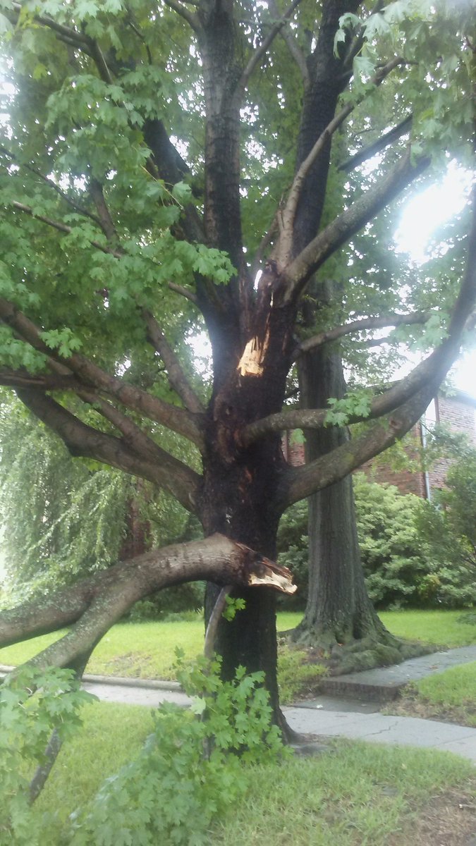 JohnPInc's tweet photo. More photos from yesterday's sudden thunderstorm. #Lightning strike aftermath. Norfolk Fire Department to the rescue
@WTKR3 @norfolkfireresc https://t.co/bKna3foJyg