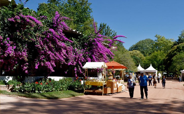 Gonazare tweet media