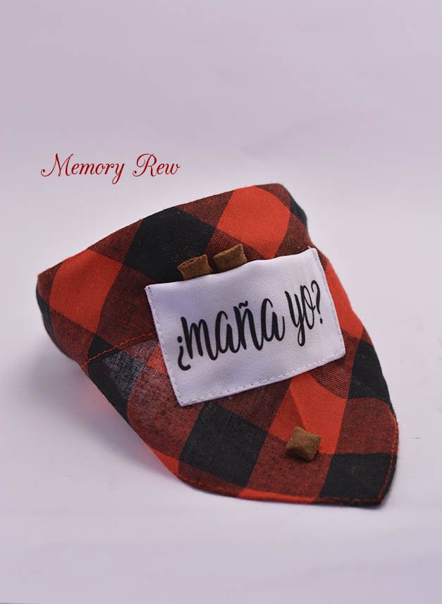 MemoryRew's tweet photo. ¿Maña yo?😁 Collar para mascotas🐕🐈🐇con bolsillo para guardar las bolsitas o unos apetitosos chuches😋. #MemoryRew #Mascostas #Maños #Zaragoza https://t.co/0fipBY36bJ