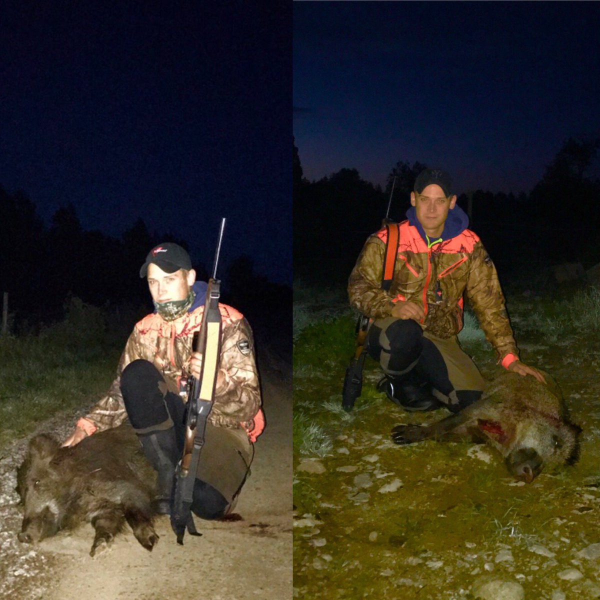 Daniel Hjort tweet media