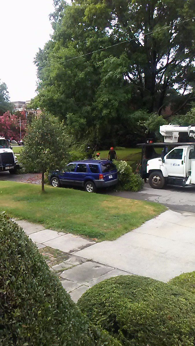 JohnPInc's tweet photo. @NorfolkVA #CityofNorfolk work crews responded quickly. On the scene to remove branch from lightning strike aftermath. https://t.co/JN7LlRzm4Y