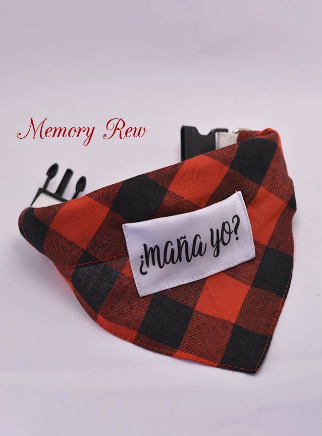 MemoryRew's tweet photo. ¿Maña yo?😁 Collar para mascotas🐕🐈🐇con bolsillo para guardar las bolsitas o unos apetitosos chuches😋. #MemoryRew #Mascostas #Maños #Zaragoza https://t.co/0fipBY36bJ