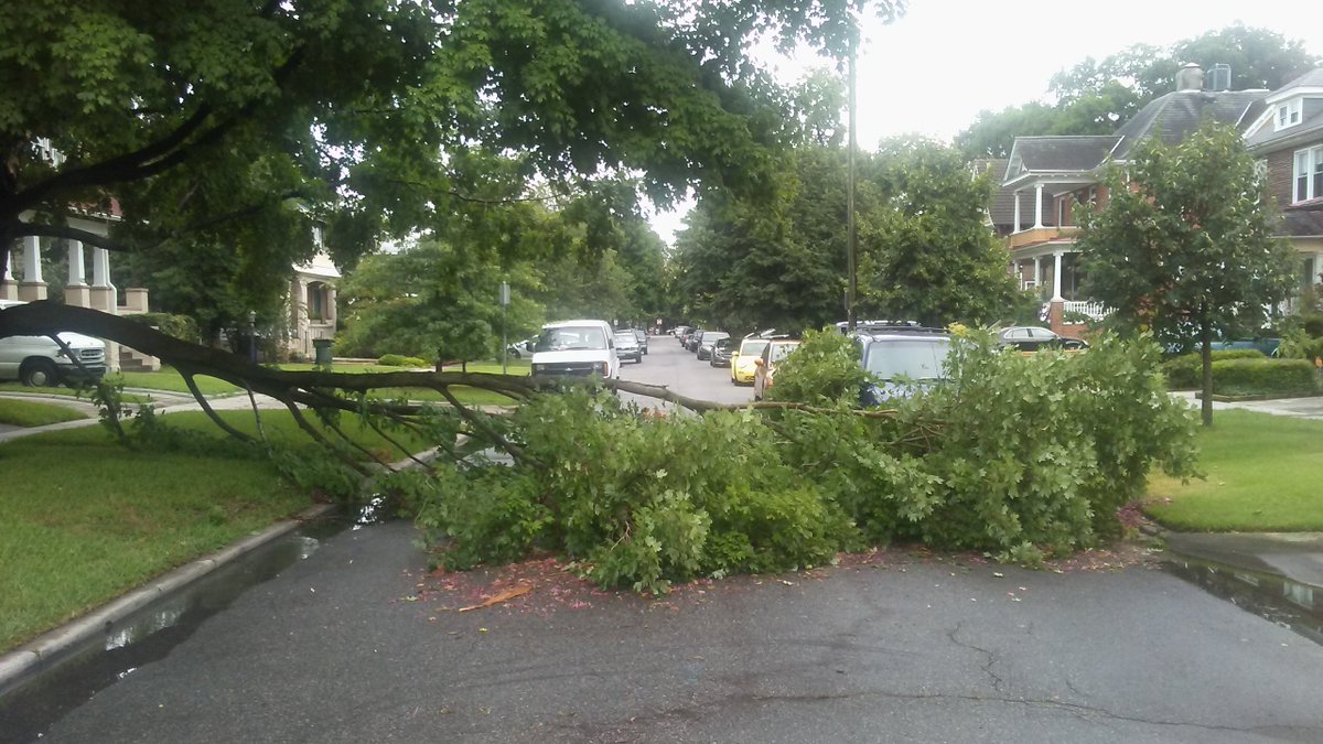 JohnPInc's tweet photo. @NorfolkVA #CityofNorfolk work crews responded quickly. On the scene to remove branch from lightning strike aftermath. https://t.co/JN7LlRzm4Y
