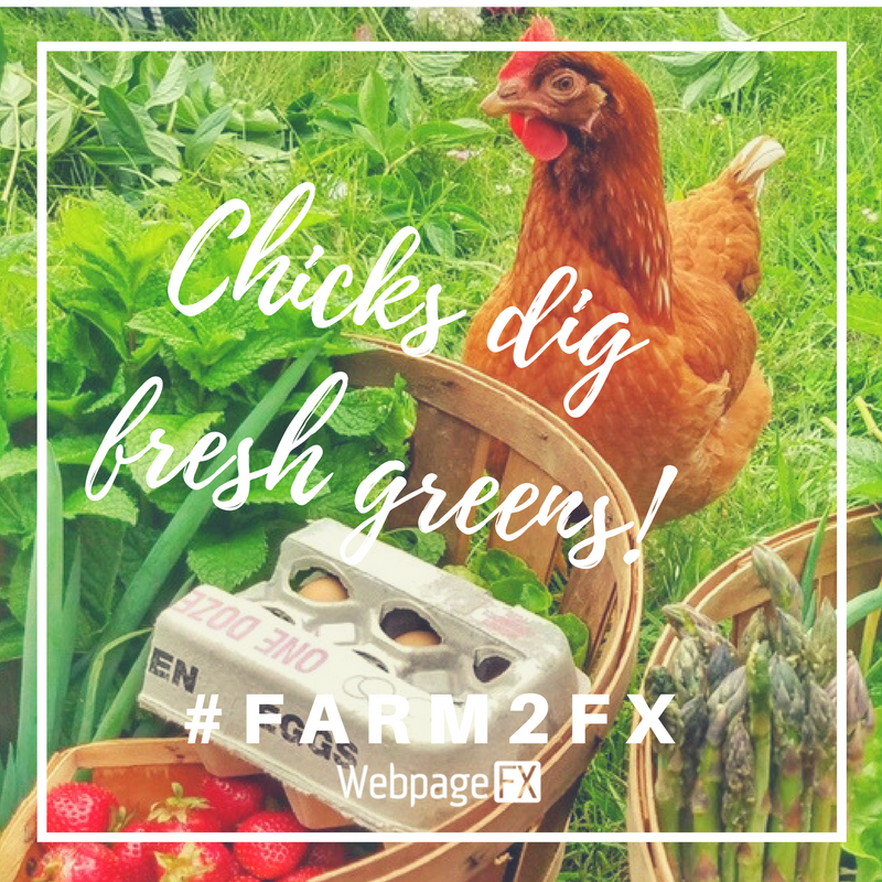 HappinessFX's tweet photo. NEW BEST DAY OF THE WEEK = #Farm2FX delivery day! Can't wait to see what Brew Barn Farms will bring for us to try this time around! https://t.co/f5i2znYS9u