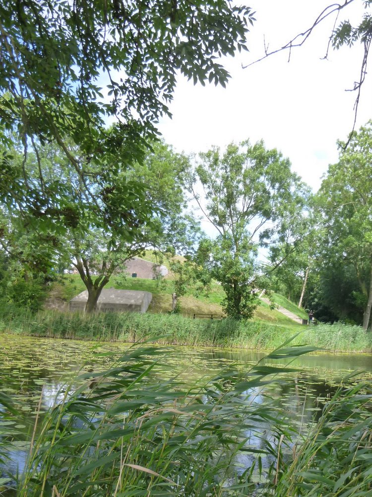 Wandel het Goilberdingerpad en ontdek de schoonheid van de natuur. Routecontroleur Erik ging je voor en genoot! > ow.ly/Nb9T30dIGdI