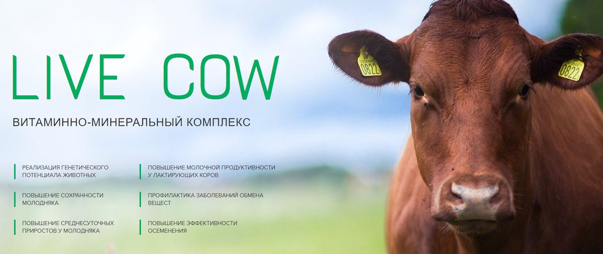 Витаминно-минеральные комплексы являются оптимальным решением в кормлении как на привязном, так и на беспривязном... rkorma.ru/product/lc-min…