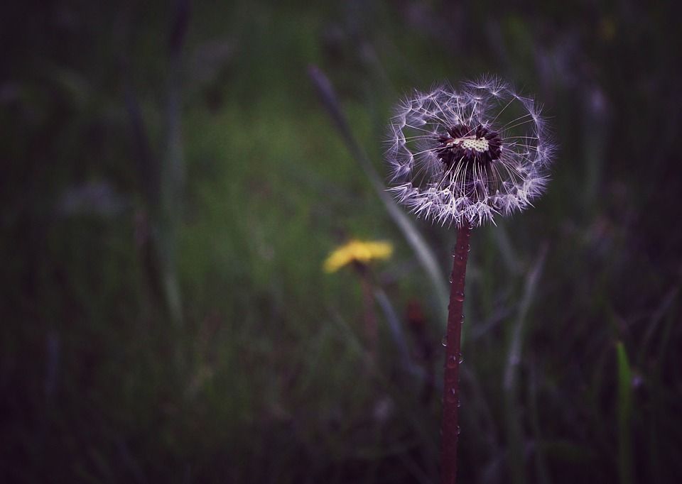 PhilosophyMttrs's tweet photo. Today's Stoic Lesson : The Illusion of Desire, or How To Cure Our Frantic Wants and Needs ...  https://t.co/qrIJWaxx1w https://t.co/sj6HTzLi8c