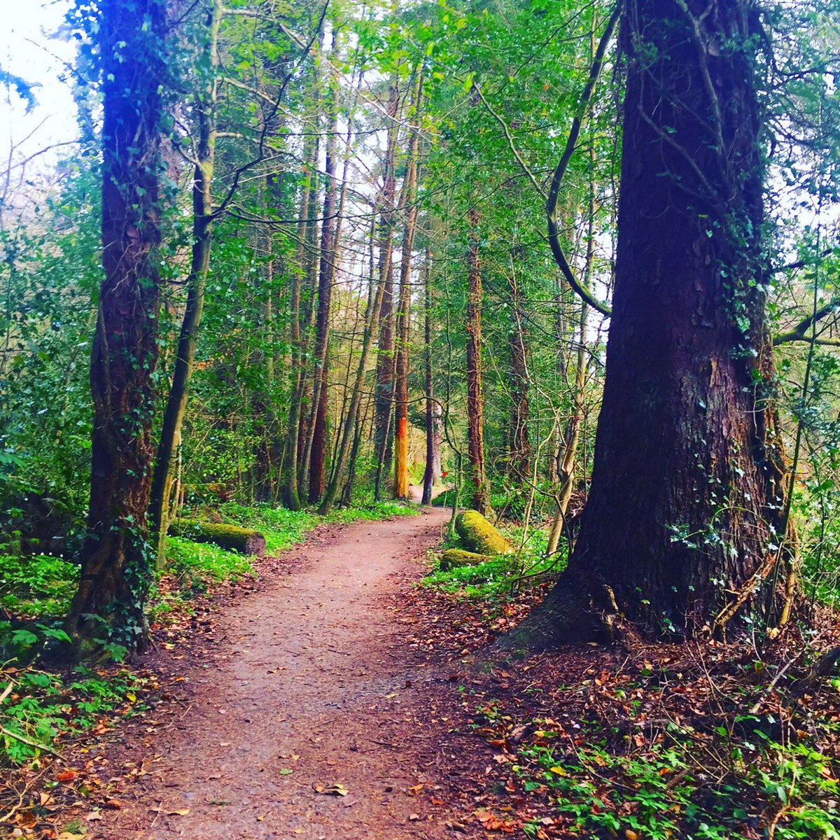 RoeValleyResort's tweet photo. 🌱🌸 Roe Valley Country Park 🌺🌱
We are so lucky to be based right beside the #RoeValleyCountryPark 
🔸 Read More: https://t.co/XJAaGaztqi https://t.co/Xez06rcRVP