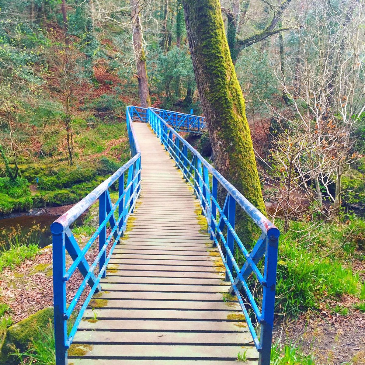 RoeValleyResort's tweet photo. 🌱🌸 Roe Valley Country Park 🌺🌱
We are so lucky to be based right beside the #RoeValleyCountryPark 
🔸 Read More: https://t.co/XJAaGaztqi https://t.co/Xez06rcRVP