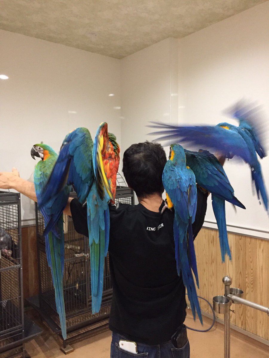 お客さんより先にやってしまいました。♪(๑ᴖ◡ᴖ๑)♪