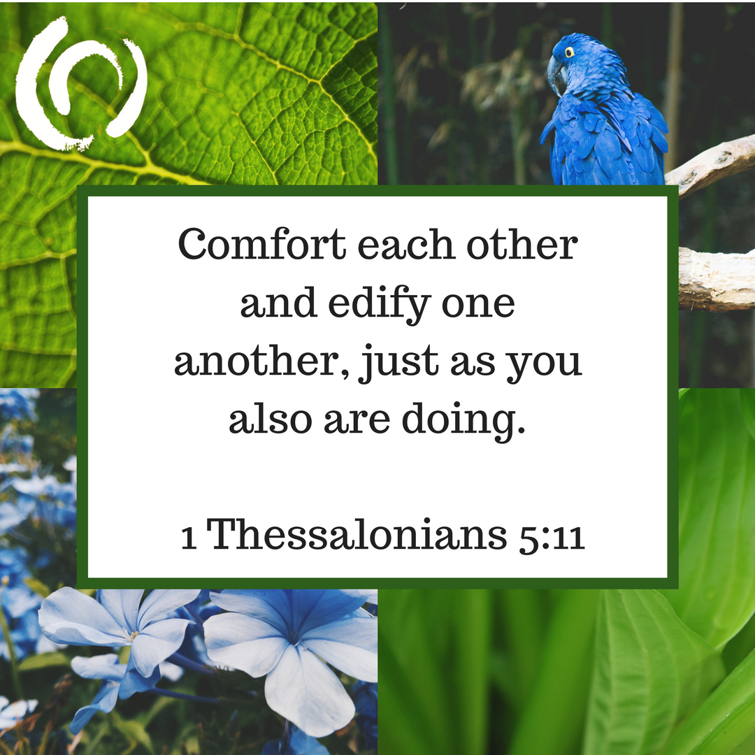CCCinfoorg's tweet photo. Comfort each other and edify one another, just as you also are doing. 

 1 Thessalonians 5:11 #CCCinfo #TheBible https://t.co/pv4GImSSao