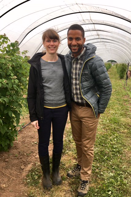 AHDB_Hort's tweet photo. Did you see @TheAHDB's Rachel McGauley discussing the raspberry #berrybreeding trials on #Countryfile? Catch up now https://t.co/2AOj8thW8m https://t.co/yREAttC3DG