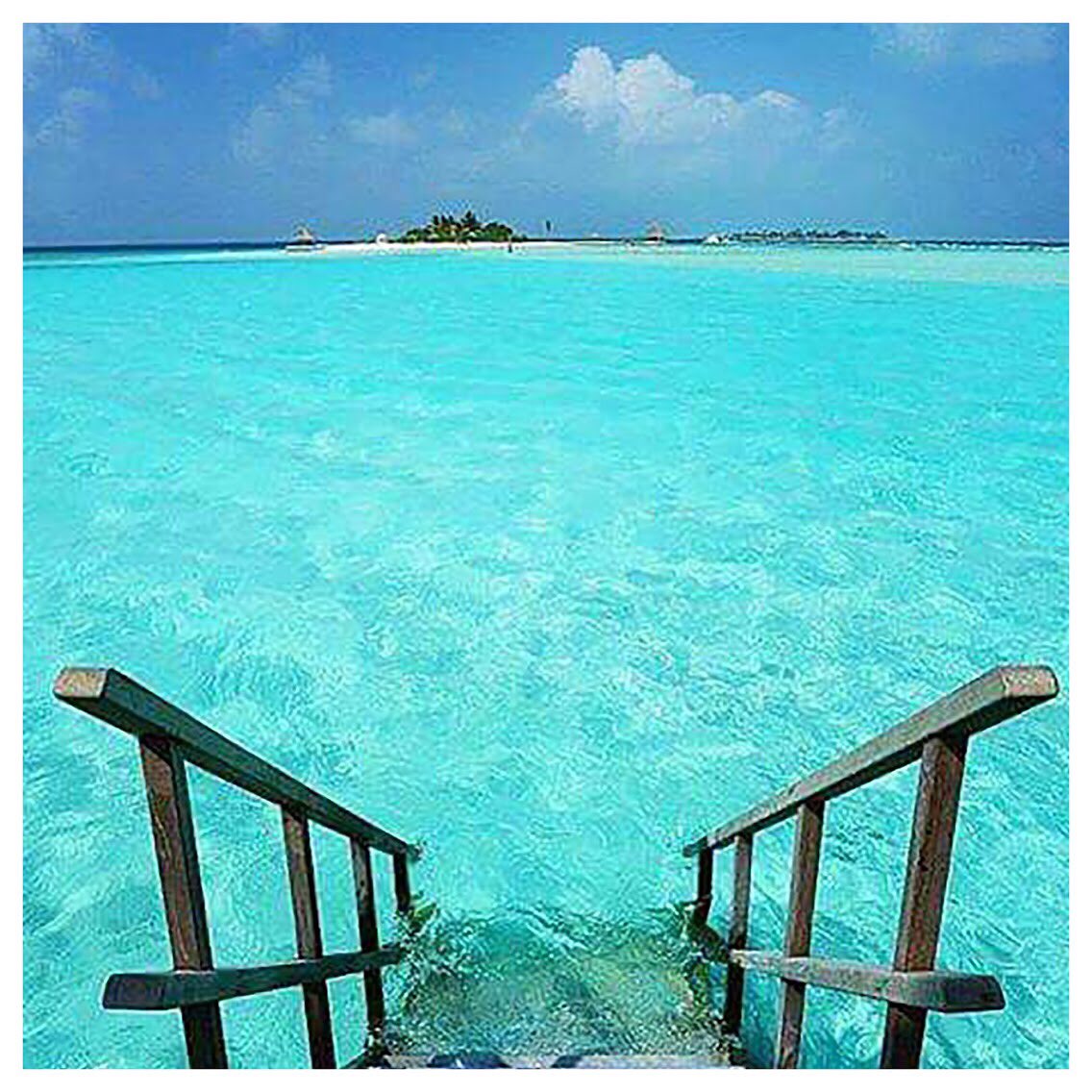 buzzao_officiel's tweet photo. • THE DREAM • 🔜
#buzzao #buzzaofficiel #concours #summer #summervibes #love #girls #holidays #vacances #watercolor #whantholidays #beach https://t.co/ZPEHDhmJwO