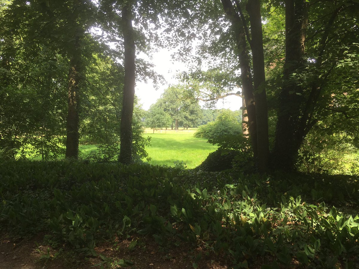 Het werk van de #Tuinbaas voor, tijdens en na het snoeien van de zichtlijnen op #Hackfort @Natuurmonument