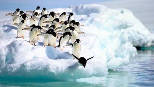 ファーストペンギンのtwitterイラスト検索結果 古い順