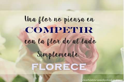 Asi es !!!!