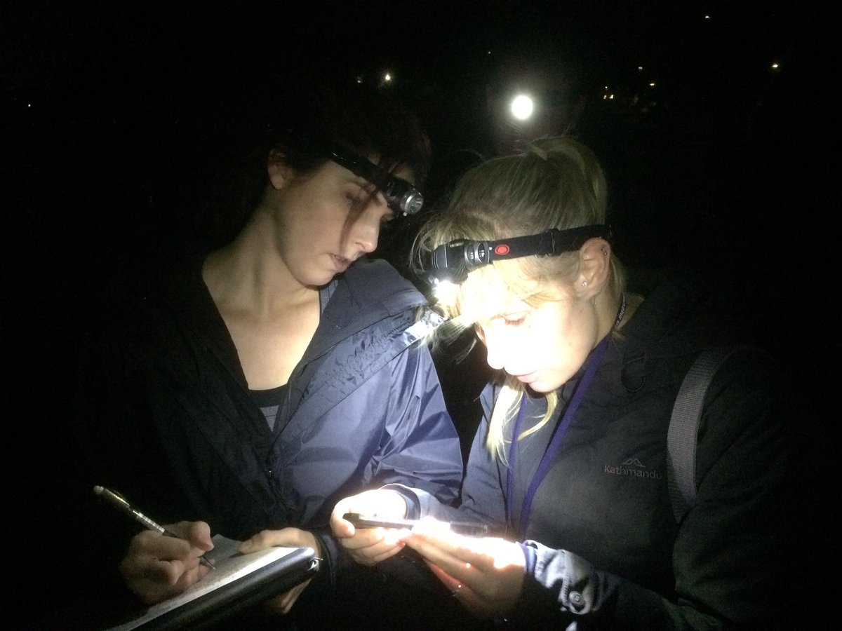 Rob Davis tweet media