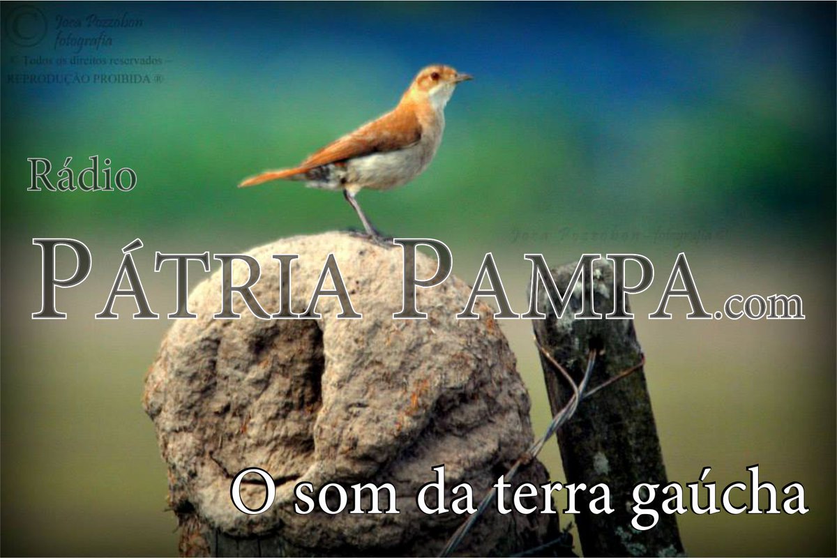 Patria_Pampa's tweet photo. Buenas gauchada!
Estamos Ao Vivo!
https://t.co/ydEORkjiAJ
#oSomdaTerraGaúcha #SemDivisa #Bamooo
Retrato do Joca Pozzobon - fotografia https://t.co/mOGvs7bX1w