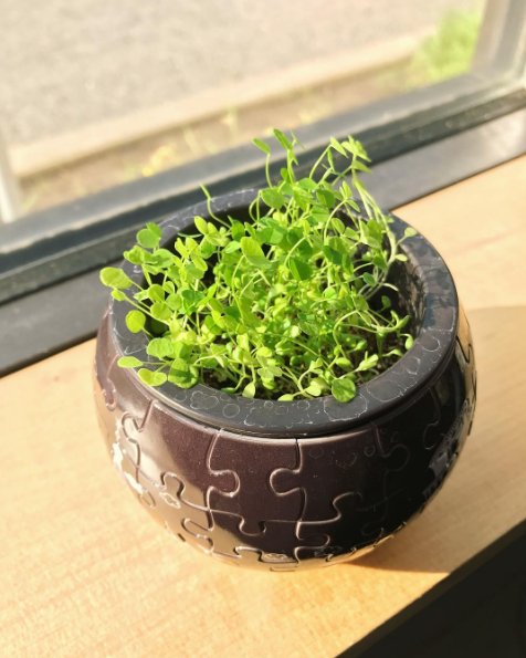 PolaronSolar's tweet photo. Sun creates life, it can also provide expense solutions for #homeowners on their hydro bills. https://t.co/vMS9qOzeHj