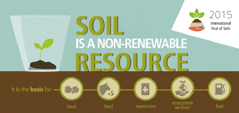 AgroCaresWorld's tweet photo. Find out why #soil is crucial for our survival on this planet and what actions are needed for its protection: https://t.co/tqe1jw561D https://t.co/dDgKuVyuRN