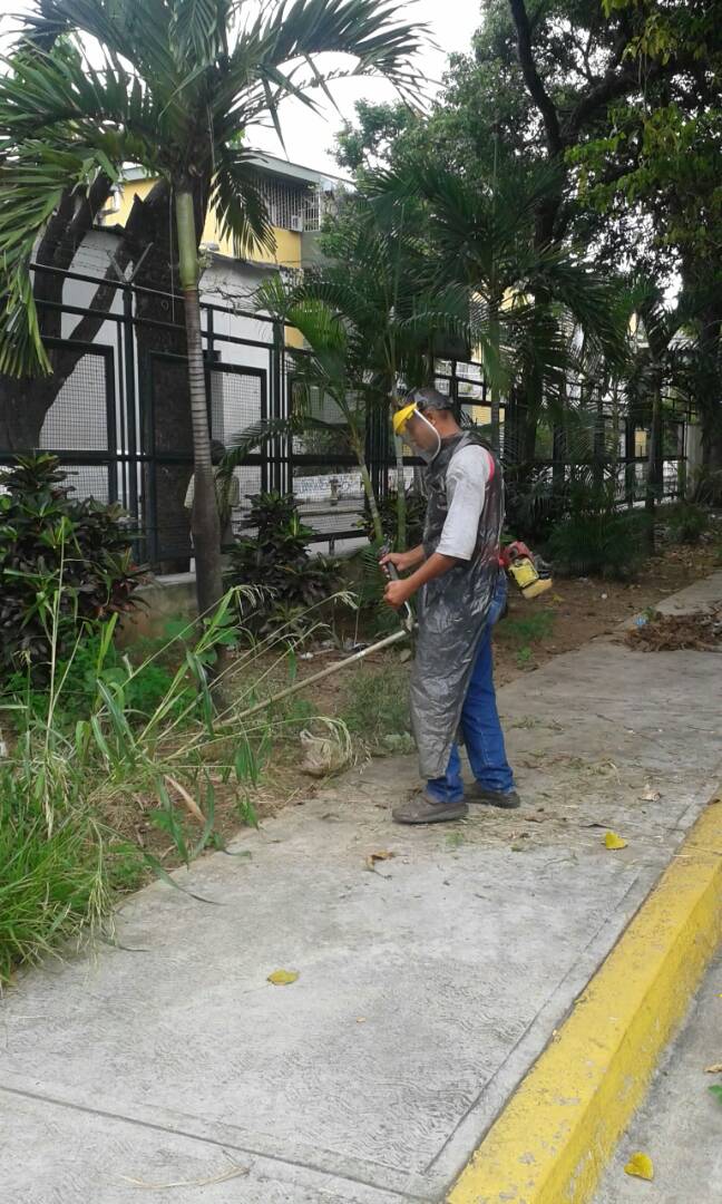 base4csgdc's tweet photo. EN ACCIÓN|| Continúan nuestros obreros con el  Desmalezamiento en el Colegio Gran Colombia 
#SeguimosTrabajando
#PorAmorACaracas
#GDC https://t.co/z8pYYIwF2Z