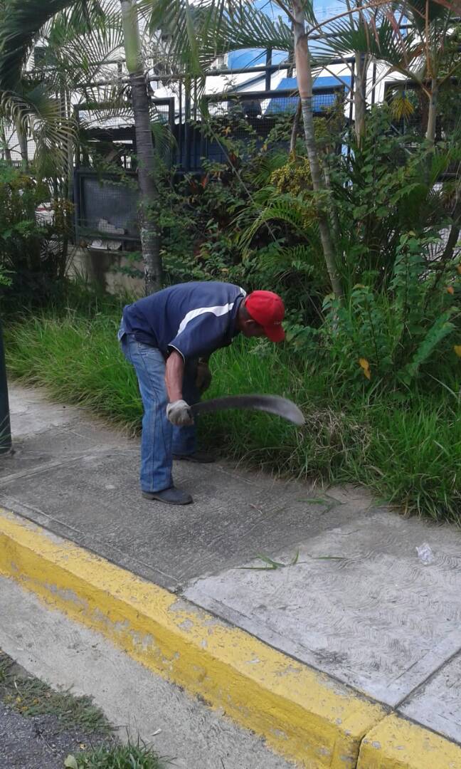 base4csgdc's tweet photo. EN ACCIÓN|| Continúan nuestros obreros con el  Desmalezamiento en el Colegio Gran Colombia 
#SeguimosTrabajando
#PorAmorACaracas
#GDC https://t.co/z8pYYIwF2Z
