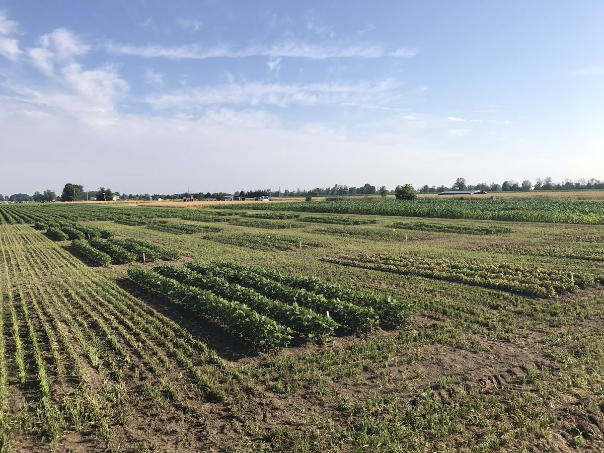 Spray_Guy's tweet photo. All set to talk dicamba clean out at #EOCDD17 w @cowbrough.
By end of day, we will have done this demo >40x since June.
#downpat https://t.co/JQyEV8eAA7