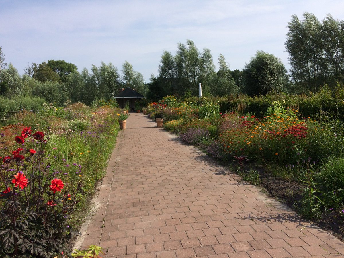 WJuurlink's tweet photo. Vanochtend was ik bij Passiflora in Drachten, heel veel prachtig in bloei, een bezoekje meer dan de moeite waard! https://t.co/Op9dW7ARIF https://t.co/SdCJsDoDfl
