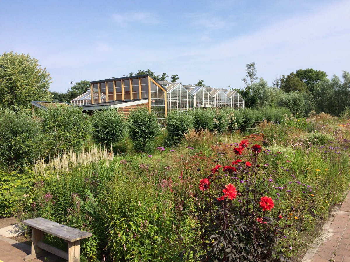 WJuurlink's tweet photo. Vanochtend was ik bij Passiflora in Drachten, heel veel prachtig in bloei, een bezoekje meer dan de moeite waard! https://t.co/Op9dW7ARIF https://t.co/SdCJsDoDfl