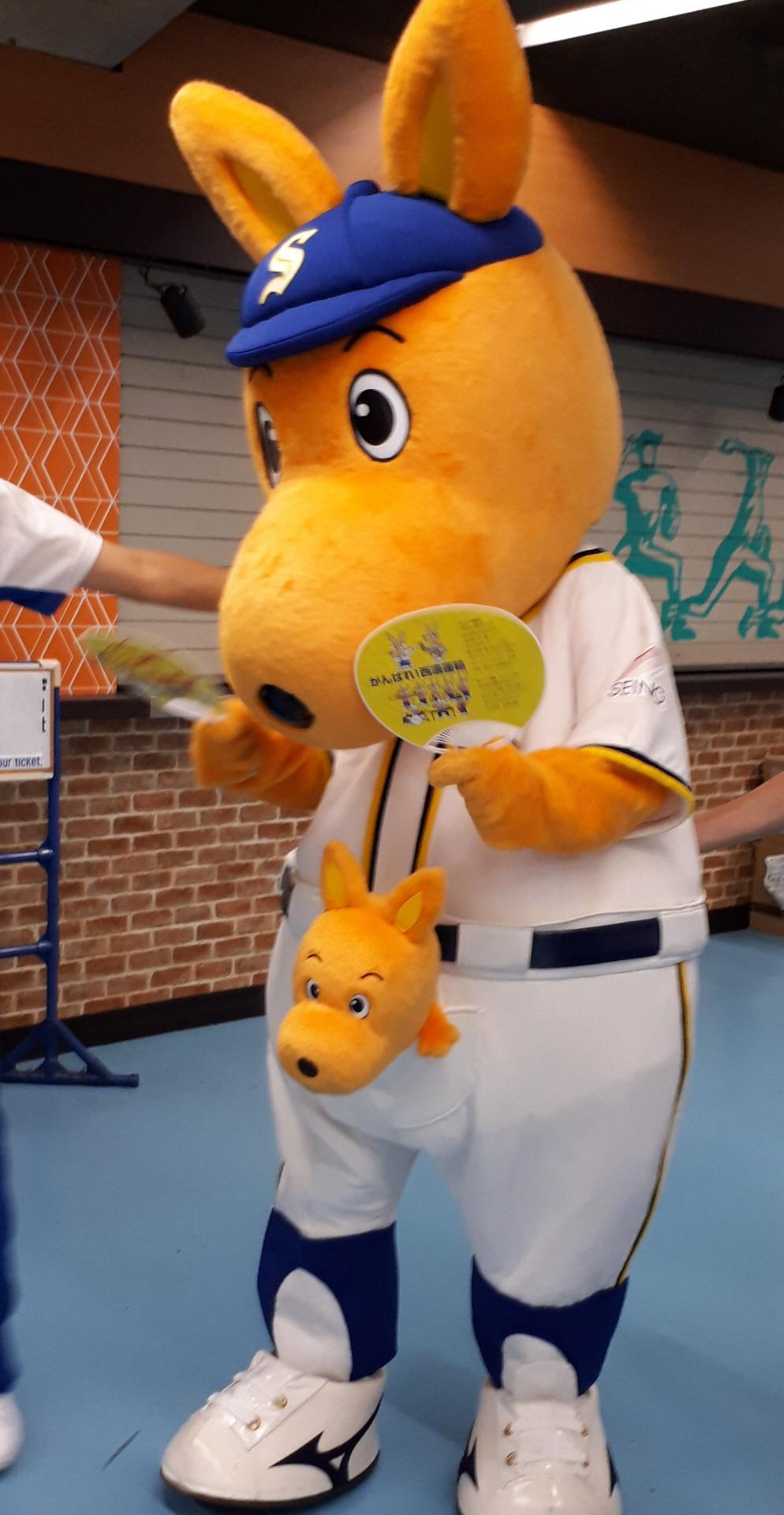 カンガルーちゃん カンガルーの赤ちゃん #ほっこり#榊原俊寿#写真家#photographer