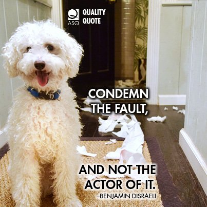 Today's Quality Quote: