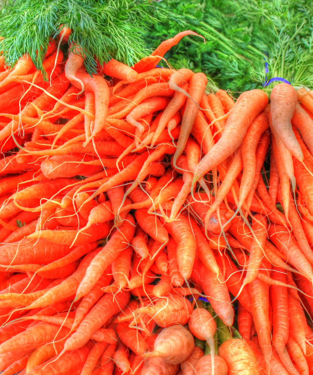 FoodfromFood's tweet photo. Ontdek de mogelijkheden van voedingsvezels en start een project binnen https://t.co/qwrvshcCbu https://t.co/QrevrNr5hj