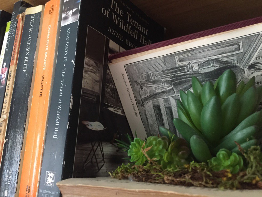 Thanks @LittleWhiteSemi I've filed the <a href="/beauxfaux/">Helen</a> succulent next to its Anne Brontë twin :) #shelfie #succulents