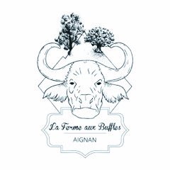 bedatfest's tweet photo. La Ferme aux Buffles, une grande auberge locale qui éleve ses propres buffles, vient à Bédatfest. #burgers #gers #buffles #aignan #bedatfest https://t.co/LPfA0BmB6K