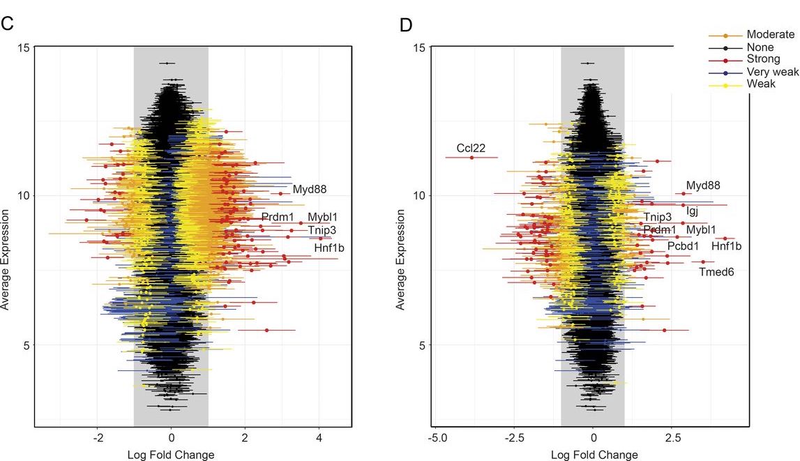 JExpMed's tweet photo. Synergistic cooperation and crosstalk between MYD88(L265P) and mutations that dysregulate CD79B and surface IgM https://t.co/4BfRvWdLYV https://t.co/DXIeHt4YAy