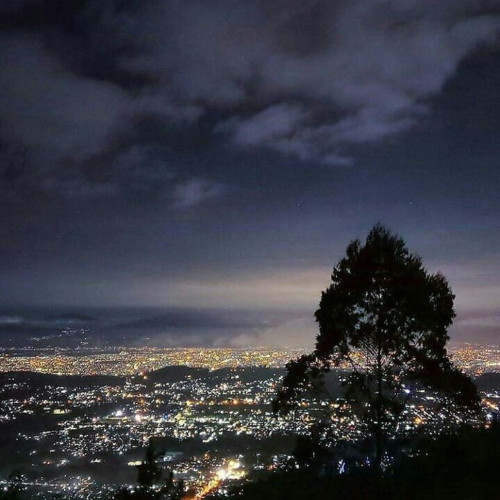 Bukit Moko tweet media