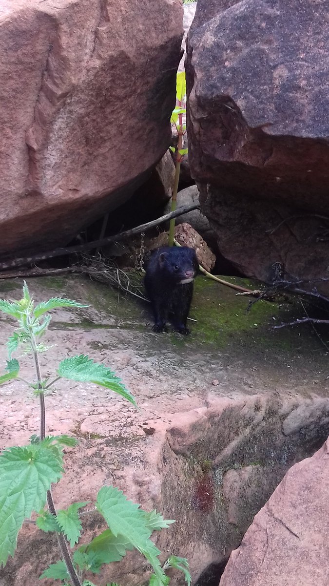 You meet all kinds of people doing this job! #surveying #wildlife #survey