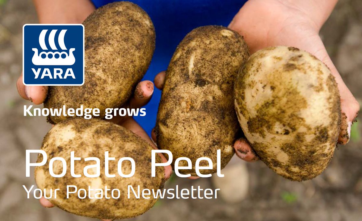Yara_N_America's tweet image. Never forget secondary &amp;amp; micro nutrients, essential for potato crops. Read Potato Newsletter N.4 at bit.ly/2se84R7 
#knowledgegrows
