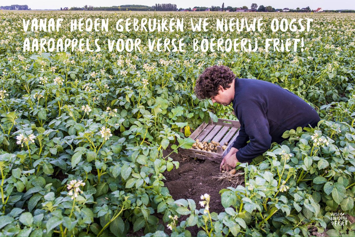 Boerderij_Friet's tweet photo. Lekkerrrrrrr!#verseboerderijfriet https://t.co/ZWpf2dBQR1