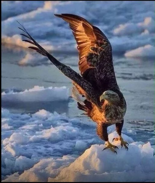 iRULU Technology (@irulutechnology) on Twitter photo 