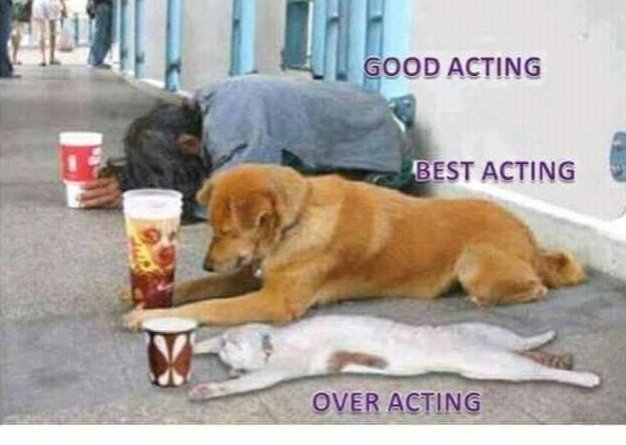 Omg 🙈🙊😂😂😂😝😝