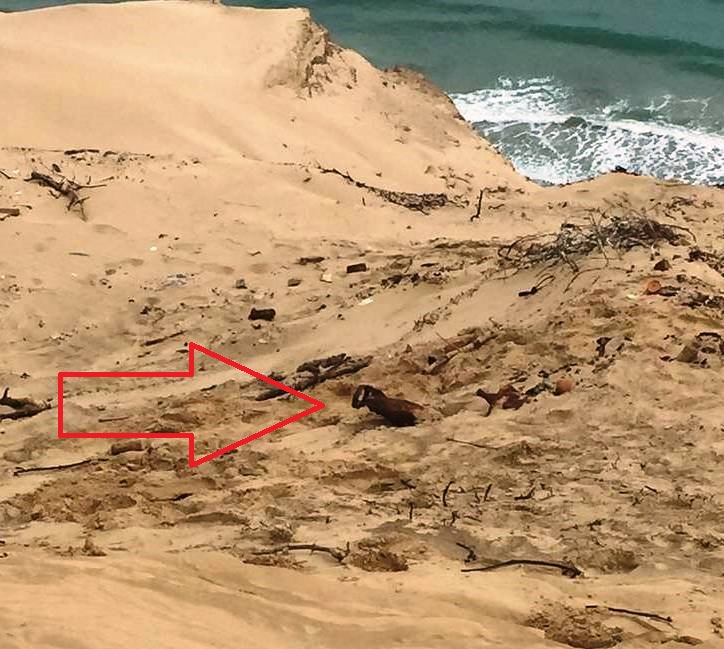 JMNoticias's tweet photo. Aparece un torpedo de la IIGM sin estallar cerca del faro de #Rubjerg #Knude, en la costa atlántica de la península danesa de Jutlandia. https://t.co/Hs1Zhhpnfr