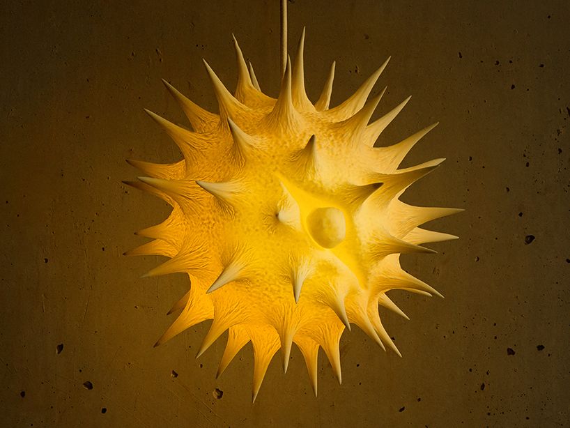 local_makers's tweet photo. The moment when biomimicry meets 3D printing.
#3Dprinting #biomimicry #3Dprintedlamp #3Dprinted #lampdesign
https://t.co/9a4DbJEsX0 https://t.co/tt6xblOEMA