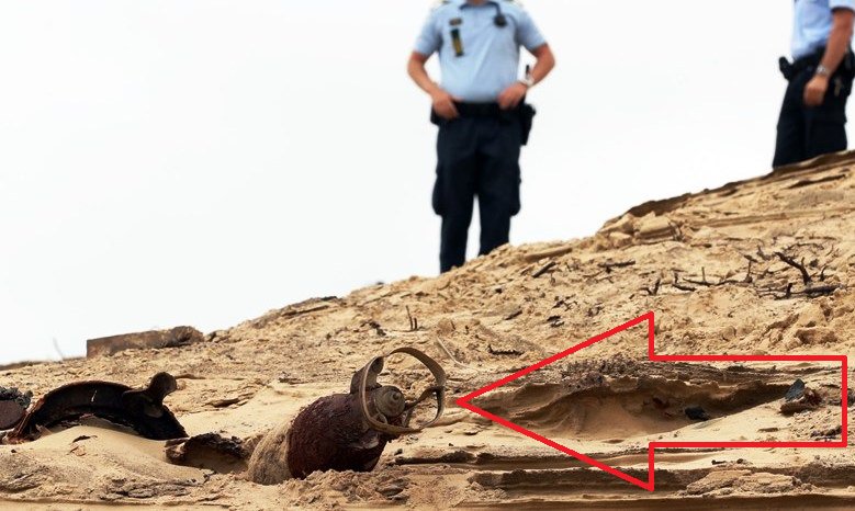 JMNoticias's tweet photo. Aparece un torpedo de la IIGM sin estallar cerca del faro de #Rubjerg #Knude, en la costa atlántica de la península danesa de Jutlandia. https://t.co/Hs1Zhhpnfr