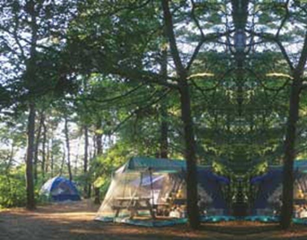 RROADSus's tweet image. New National/State/County Parks : Nickerson State Park at RROADS.us. See what is new! RROADS.us/LocInfo/Detail…