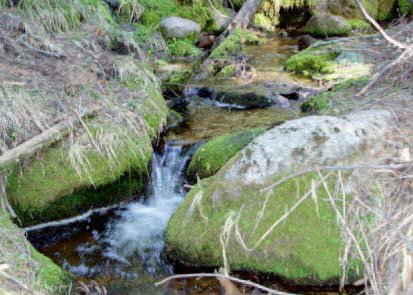 usfs_psw's tweet photo. New Research: Riparian vs. upland forest plant communities in the Sierra Nevada. #StreamManagement #ForestH2O https://t.co/3xkriV9IjA https://t.co/oYH537V7uO